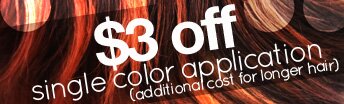 $3 off for single color application. (additional cost for longer hair)
